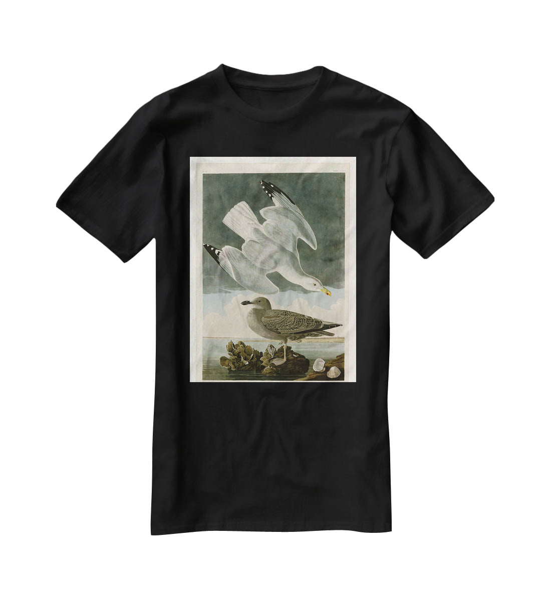 Herring Gull by Audubon T-Shirt - Canvas Art Rocks - 1