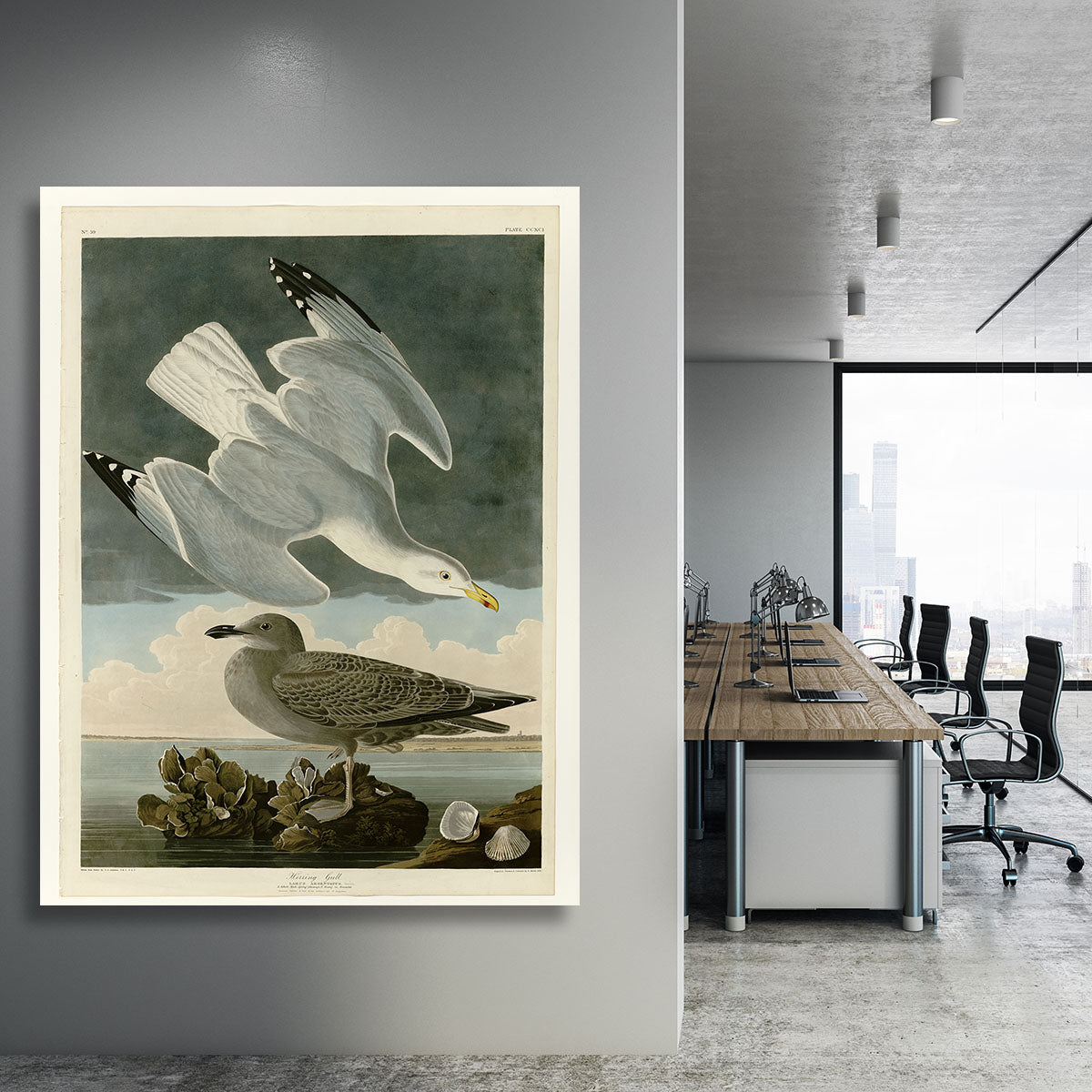 Herring Gull by Audubon Canvas Print or Poster - Canvas Art Rocks - 3