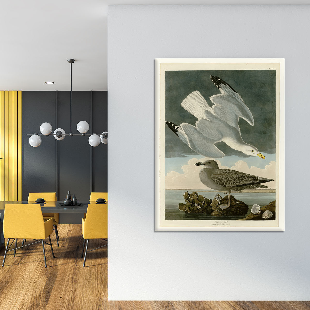 Herring Gull by Audubon Canvas Print or Poster - Canvas Art Rocks - 4