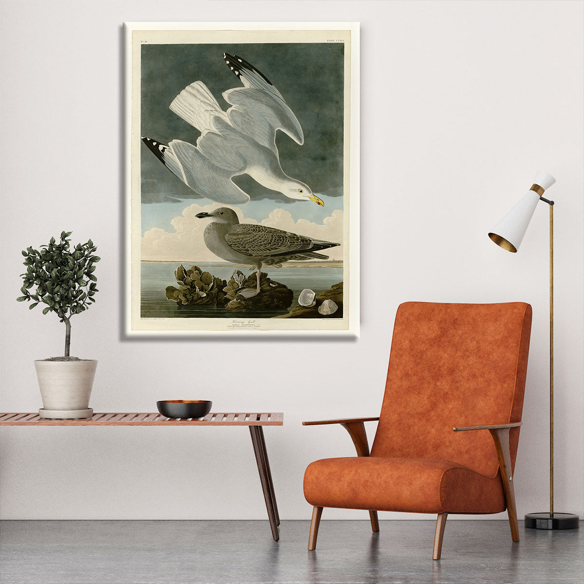 Herring Gull by Audubon Canvas Print or Poster - Canvas Art Rocks - 6