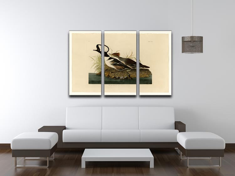 Hooded Merganser by Audubon 3 Split Panel Canvas Print - Canvas Art Rocks - 3