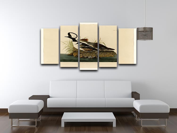 Hooded Merganser by Audubon 5 Split Panel Canvas - Canvas Art Rocks - 3