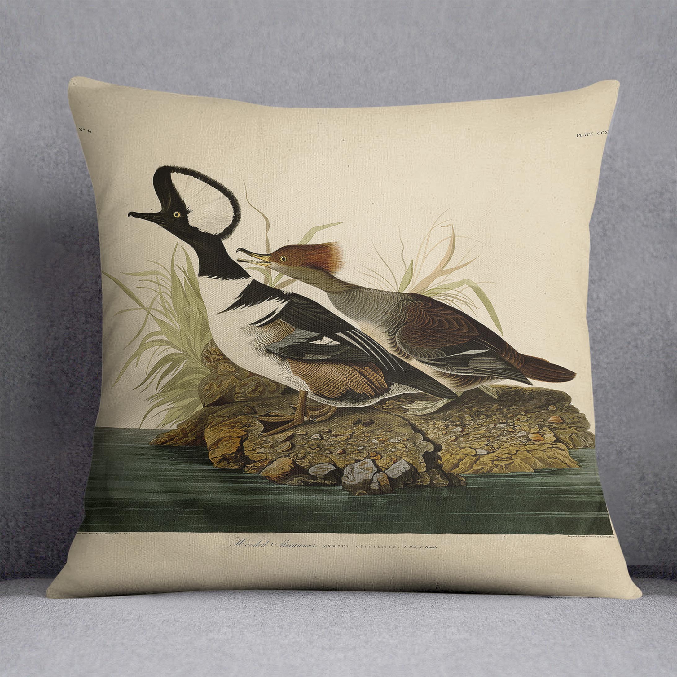 Hooded Merganser by Audubon Cushion