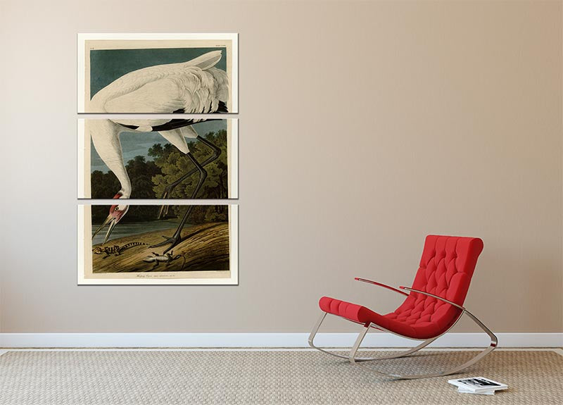 Hooping Crane by Audubon 3 Split Panel Canvas Print - Canvas Art Rocks - 2