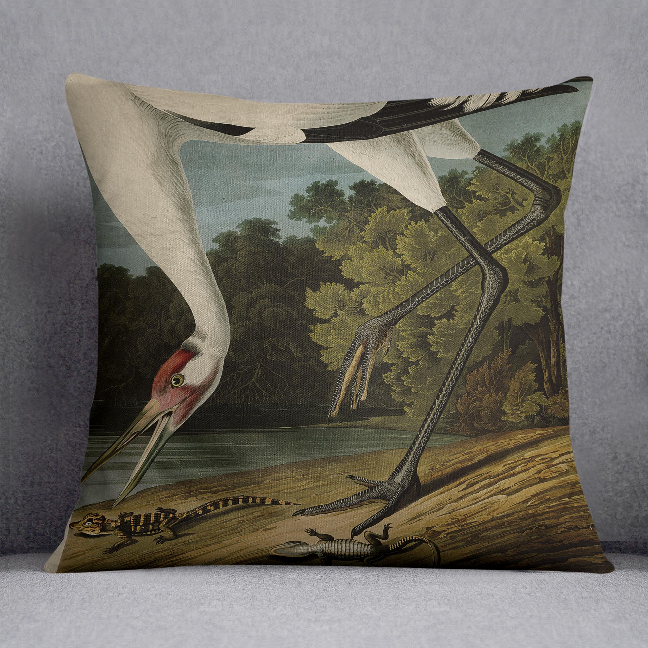 Hooping Crane by Audubon Cushion