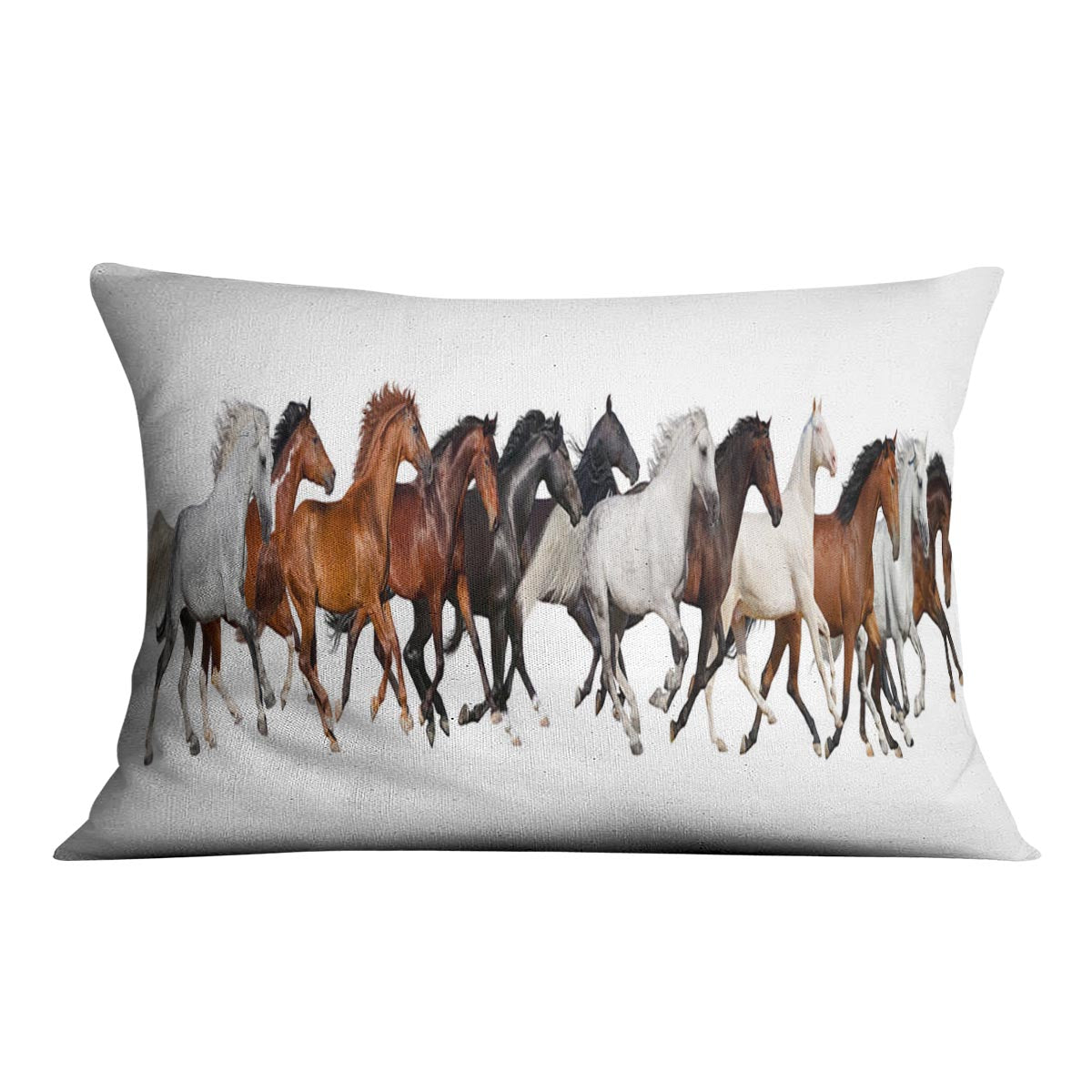 Horse herd Cushion - Canvas Art Rocks - 4