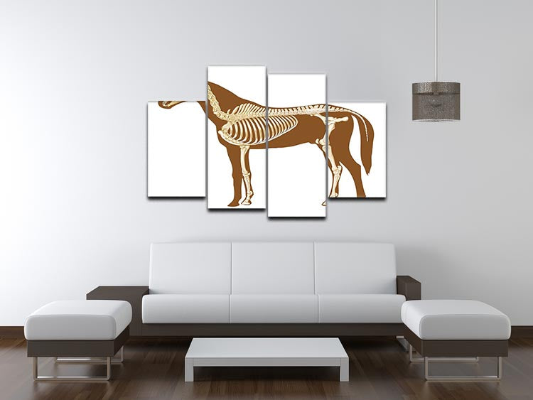 Horse skeleton section with bones x-ray 4 Split Panel Canvas - Canvas Art Rocks - 3
