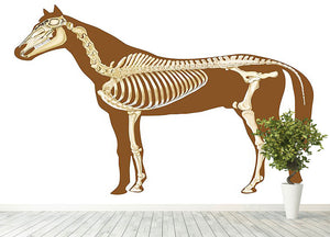 Horse skeleton section with bones x-ray Wall Mural Wallpaper - Canvas Art Rocks - 4