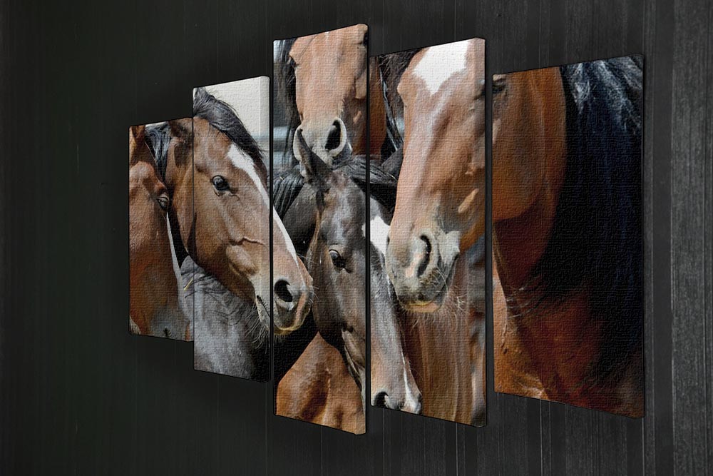 Horses 5 Split Panel Canvas - Canvas Art Rocks - 2