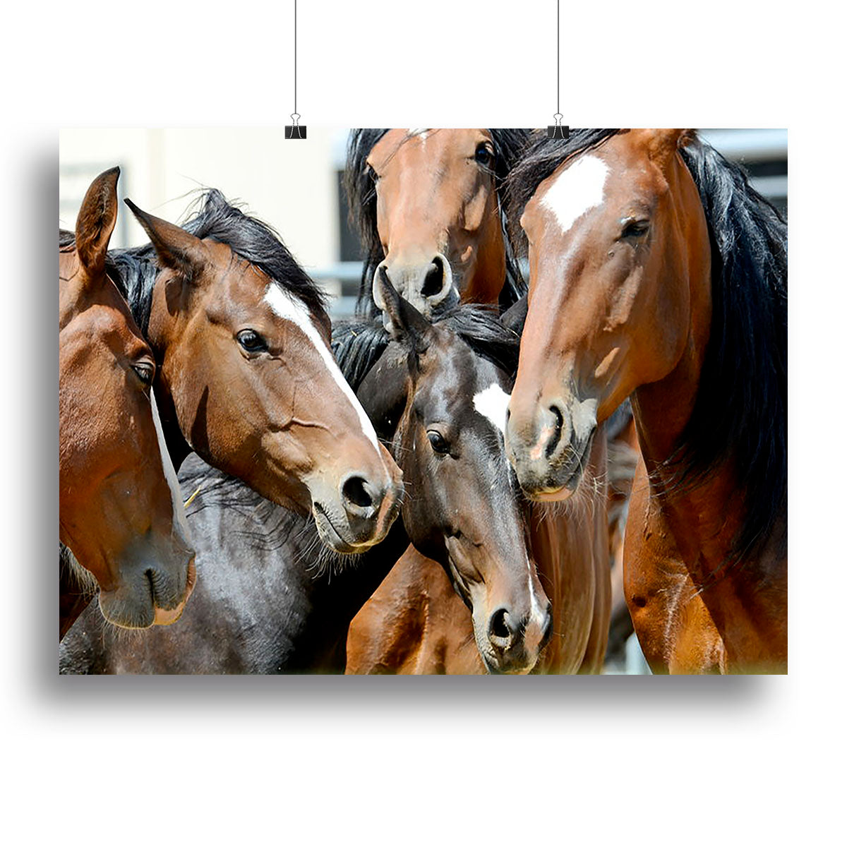 Horses Canvas Print or Poster - Canvas Art Rocks - 2