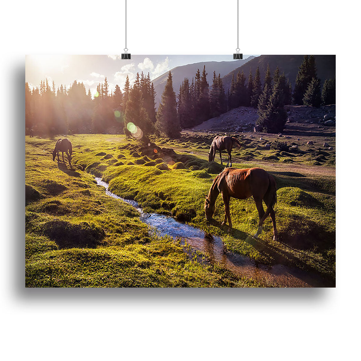 Horses in the Gregory gorge mountains Canvas Print or Poster - Canvas Art Rocks - 2