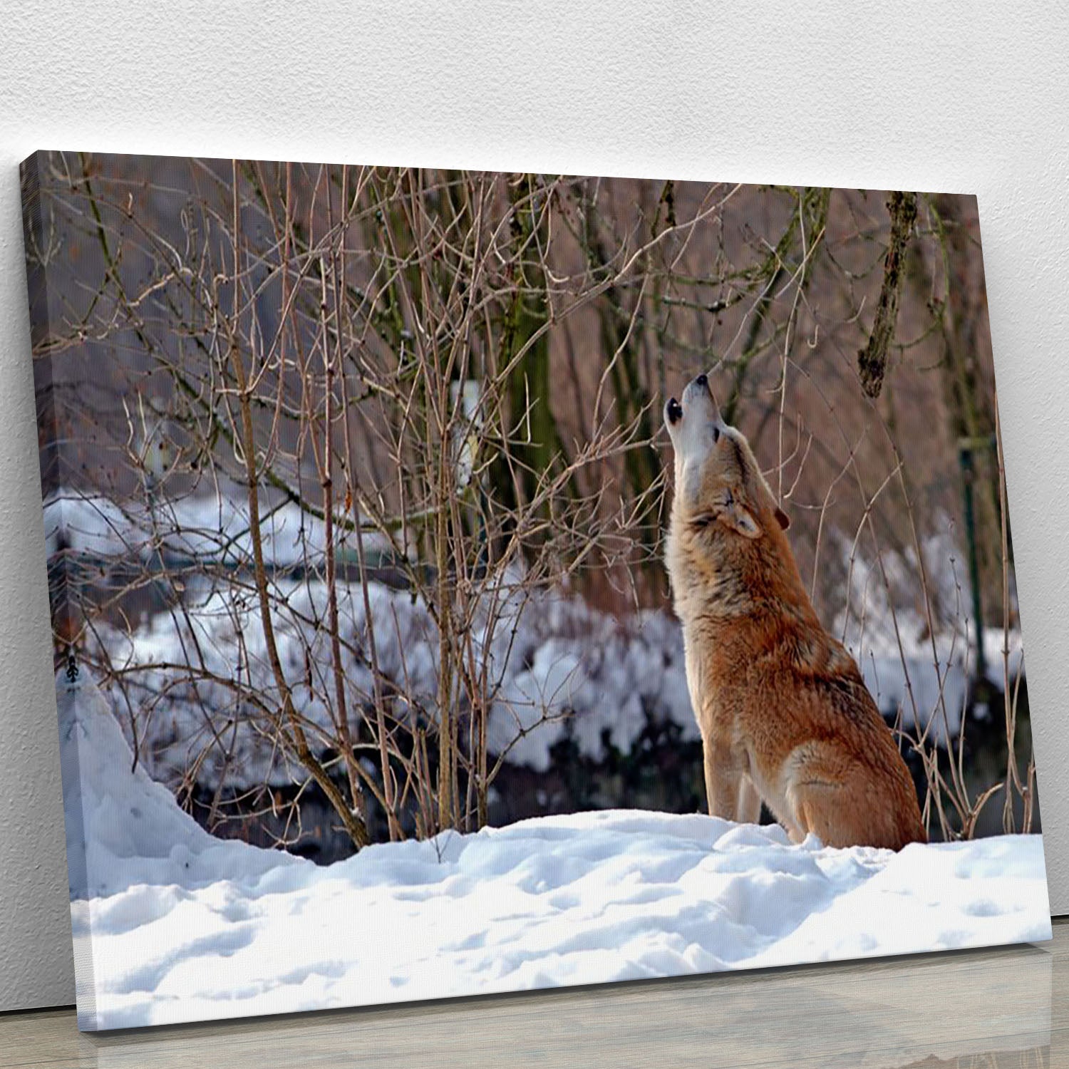 Howling wolf in winter scenery Canvas Print or Poster - Canvas Art Rocks - 1