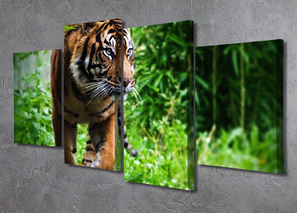 Hunting Tiger at the zoo 4 Split Panel Canvas - Canvas Art Rocks - 2