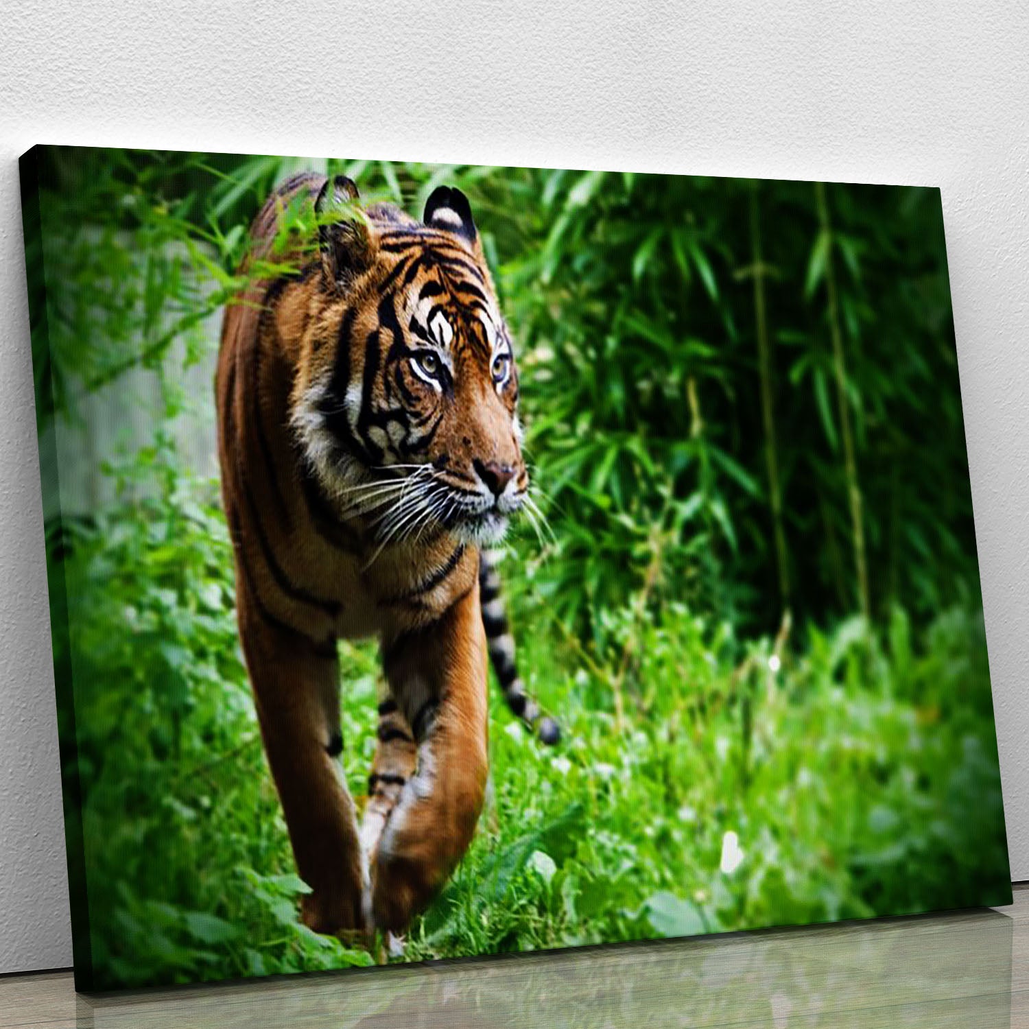 Hunting Tiger at the zoo Canvas Print or Poster - Canvas Art Rocks - 1