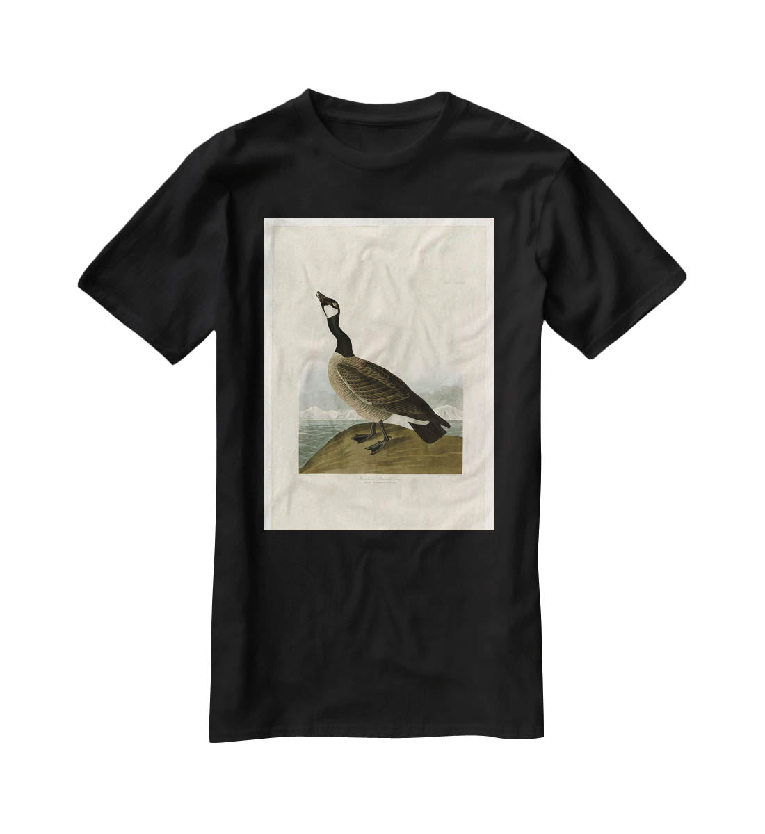 Hutchins Barnacle Goose by Audubon T-Shirt - Canvas Art Rocks - 1