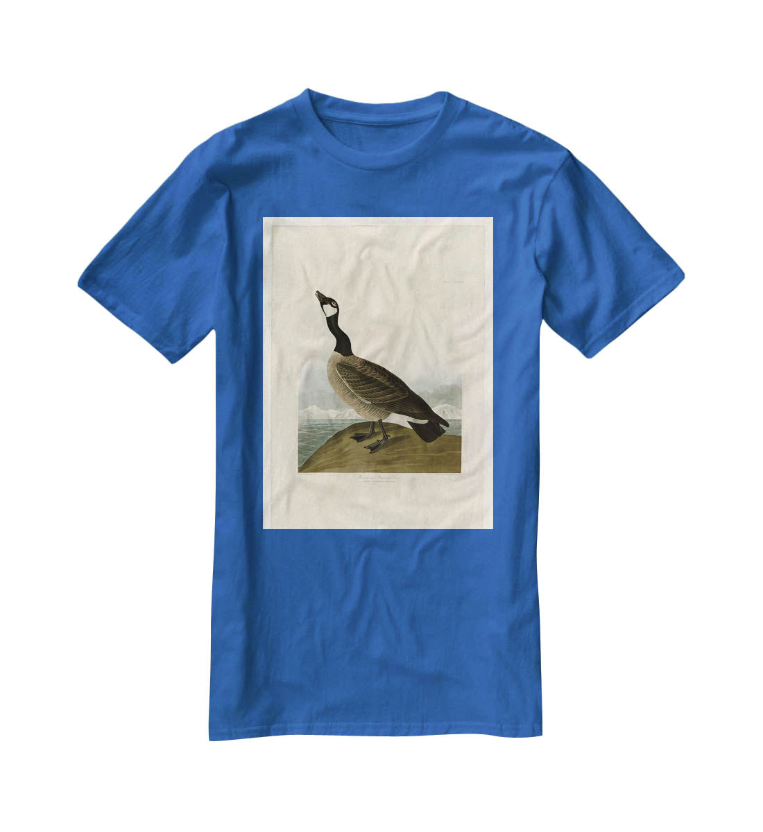 Hutchins Barnacle Goose by Audubon T-Shirt - Canvas Art Rocks - 2