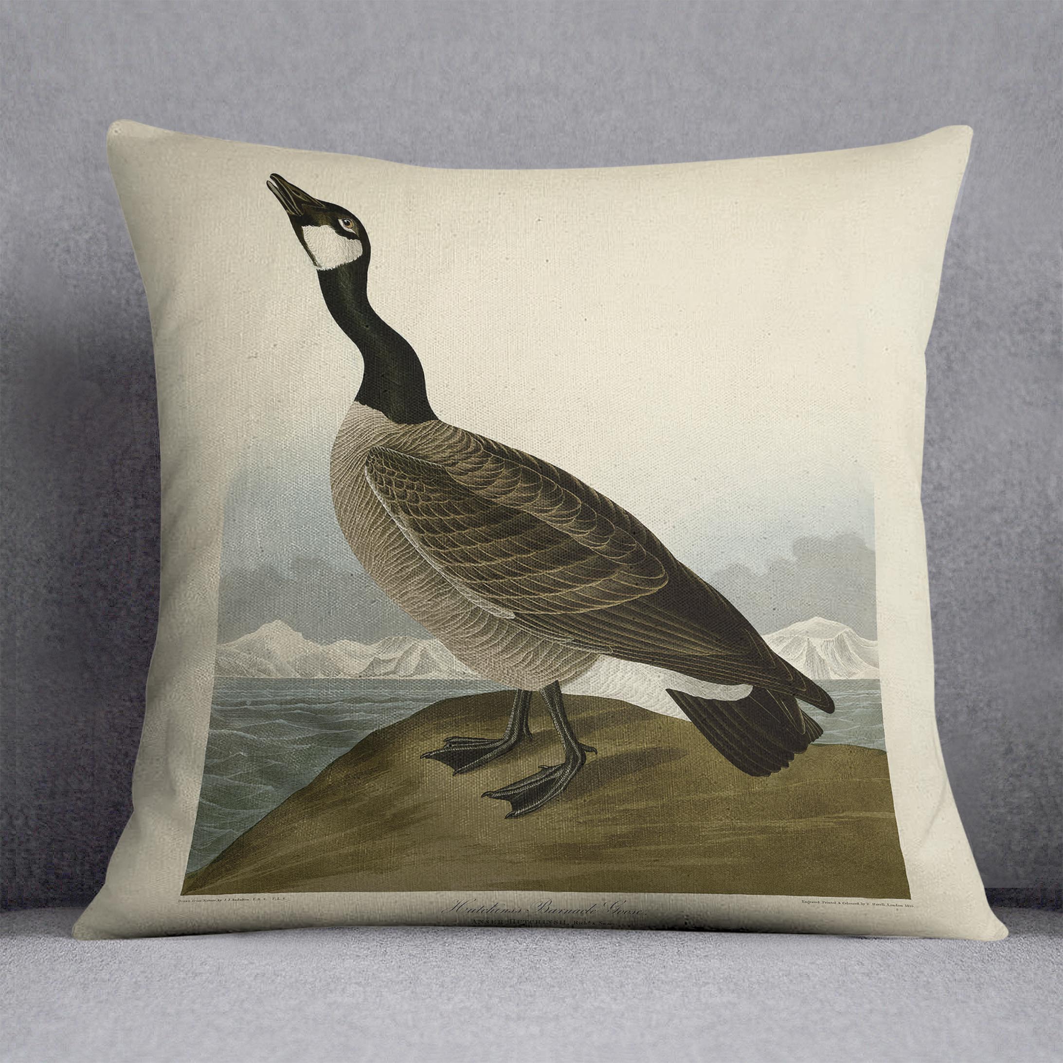 Hutchins Barnacle Goose by Audubon Cushion