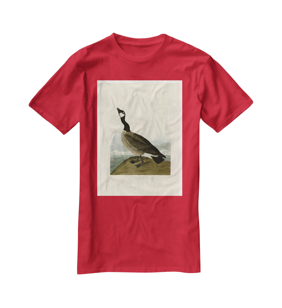 Hutchins Barnacle Goose by Audubon T-Shirt - Canvas Art Rocks - 4