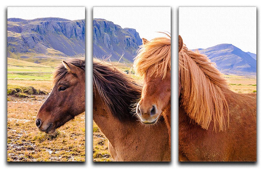 Icelandic horses 3 Split Panel Canvas Print - Canvas Art Rocks - 1