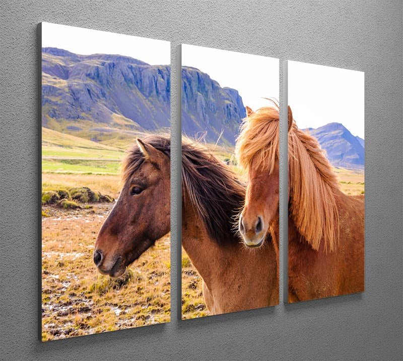 Icelandic horses 3 Split Panel Canvas Print - Canvas Art Rocks - 2