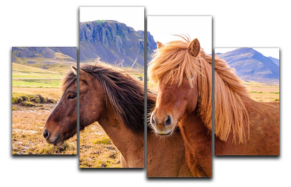 Icelandic horses 4 Split Panel Canvas - Canvas Art Rocks - 1