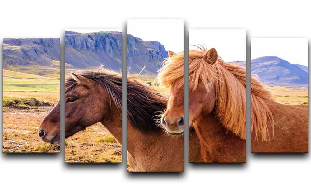 Icelandic horses 5 Split Panel Canvas - Canvas Art Rocks - 1
