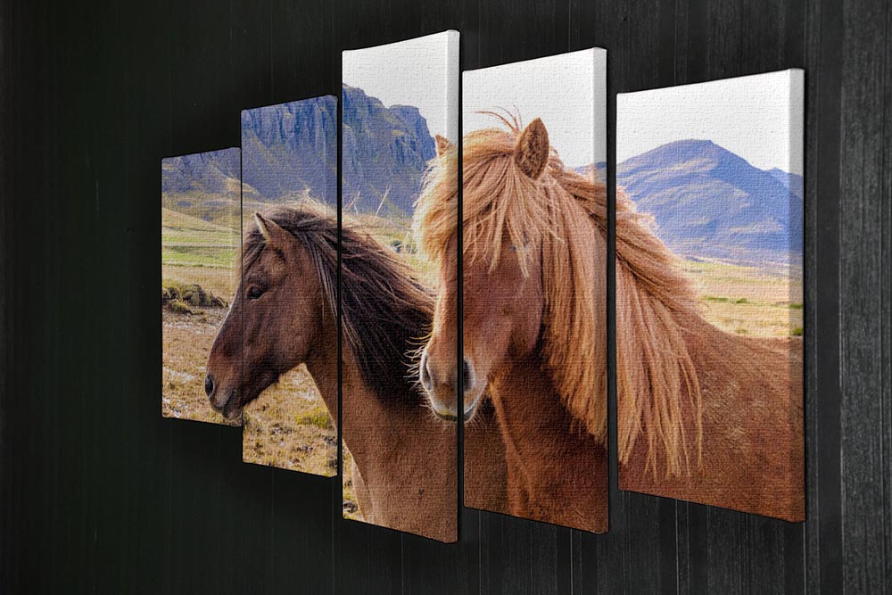 Icelandic horses 5 Split Panel Canvas - Canvas Art Rocks - 2
