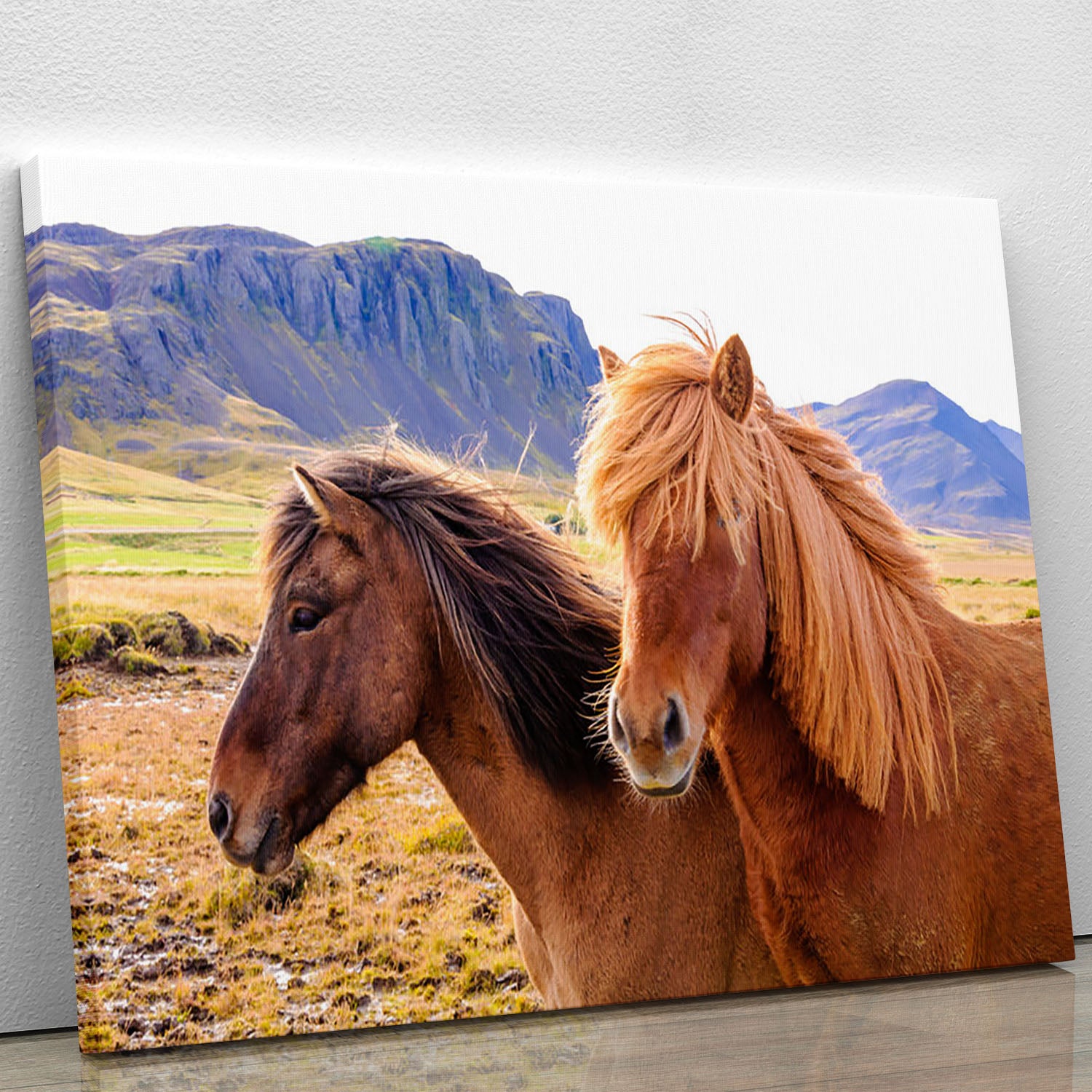 Icelandic horses Canvas Print or Poster - Canvas Art Rocks - 1