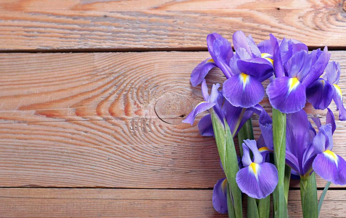 Iris on an old wooden background Wall Mural Wallpaper