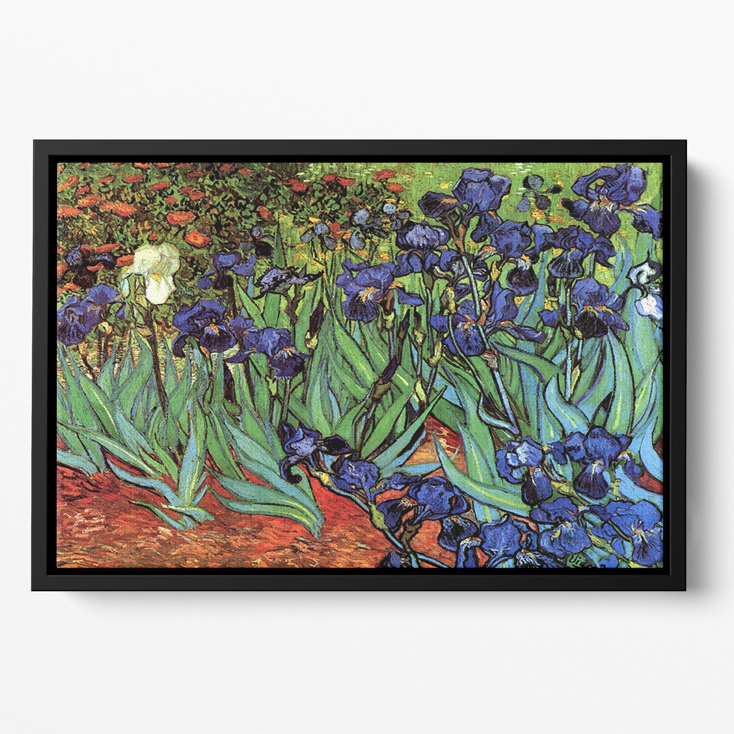 Irises 2 by Van Gogh Floating Framed Canvas