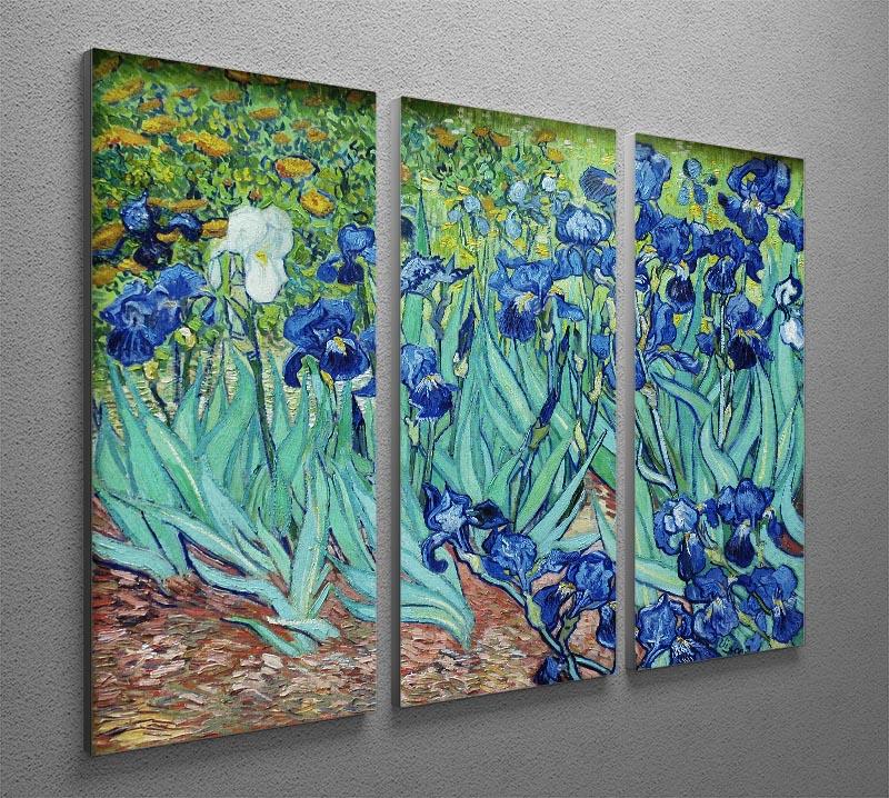 Irises by Van Gogh 3 Split Panel Canvas Print - Canvas Art Rocks - 4