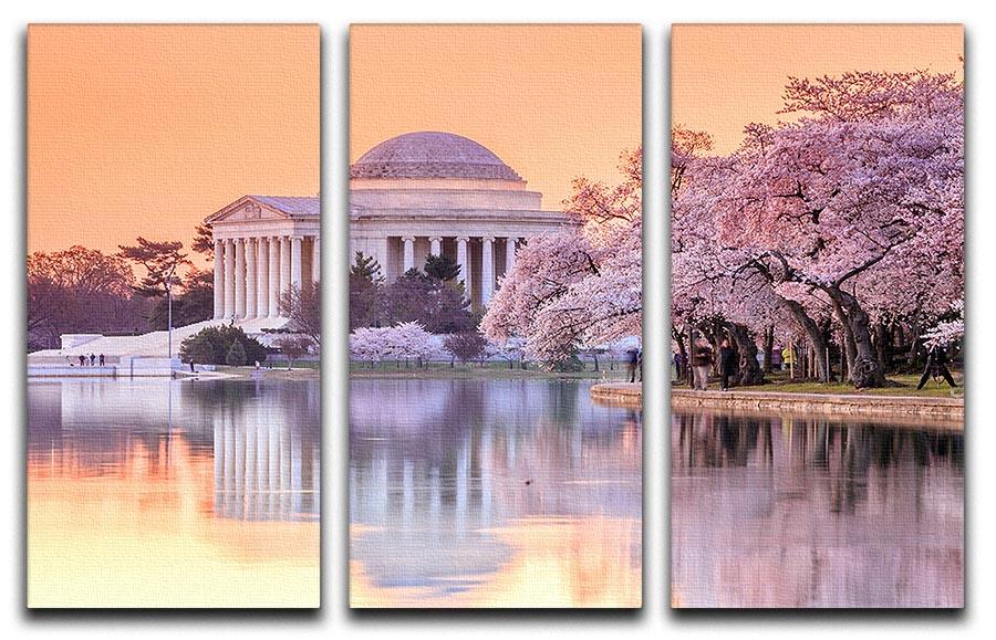 Jefferson Memorial during the Cherry Blossom Festival 3 Split Panel Canvas Print - Canvas Art Rocks - 1
