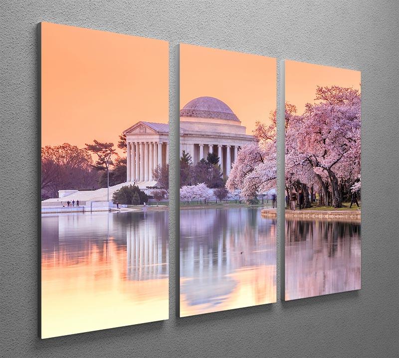 Jefferson Memorial during the Cherry Blossom Festival 3 Split Panel Canvas Print - Canvas Art Rocks - 2