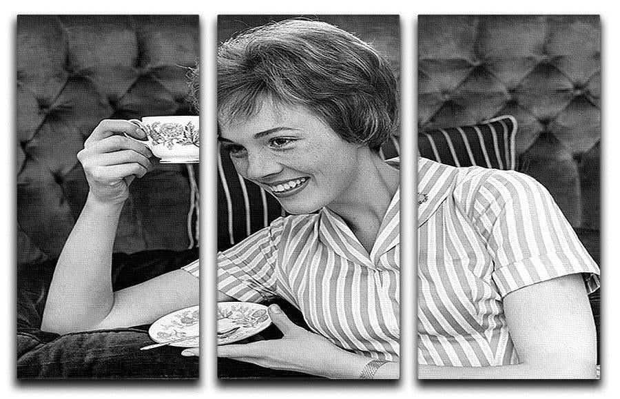Julie Andrews with a cup of tea 3 Split Panel Canvas Print - Canvas Art Rocks - 1