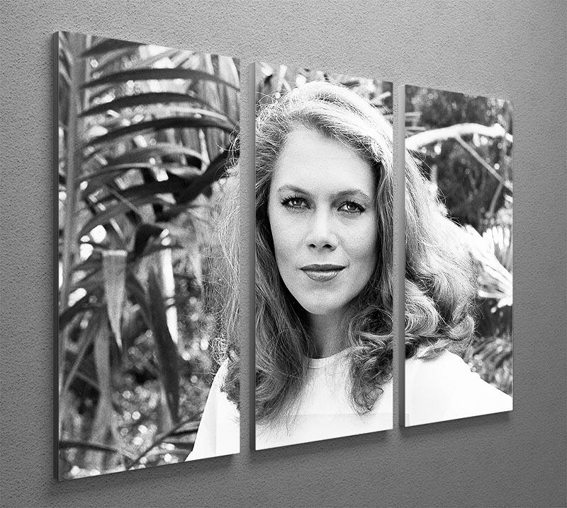 Kathleen Turner 3 Split Panel Canvas Print - Canvas Art Rocks - 2