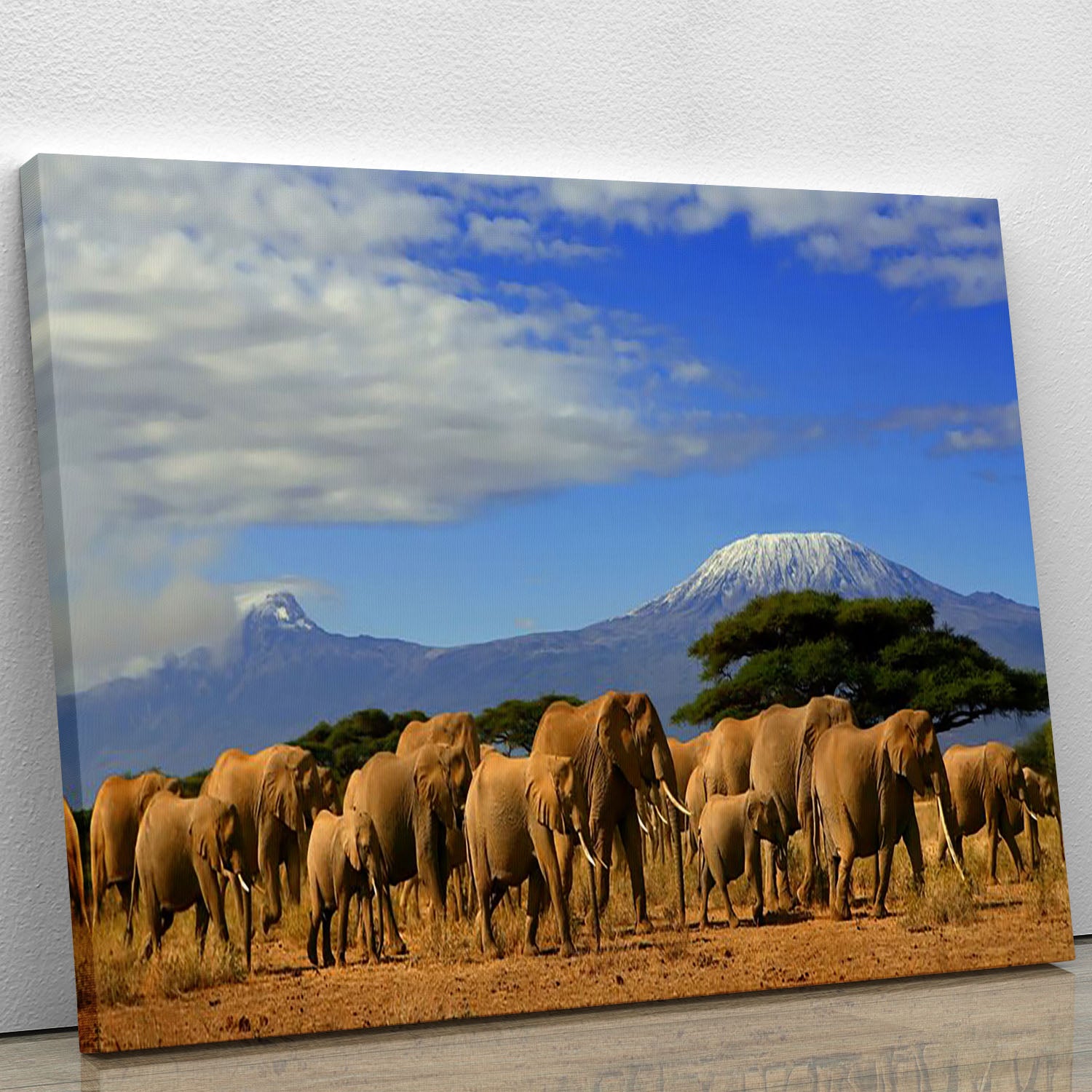 Kilimanjaro And Elephants Canvas Print or Poster - Canvas Art Rocks - 1