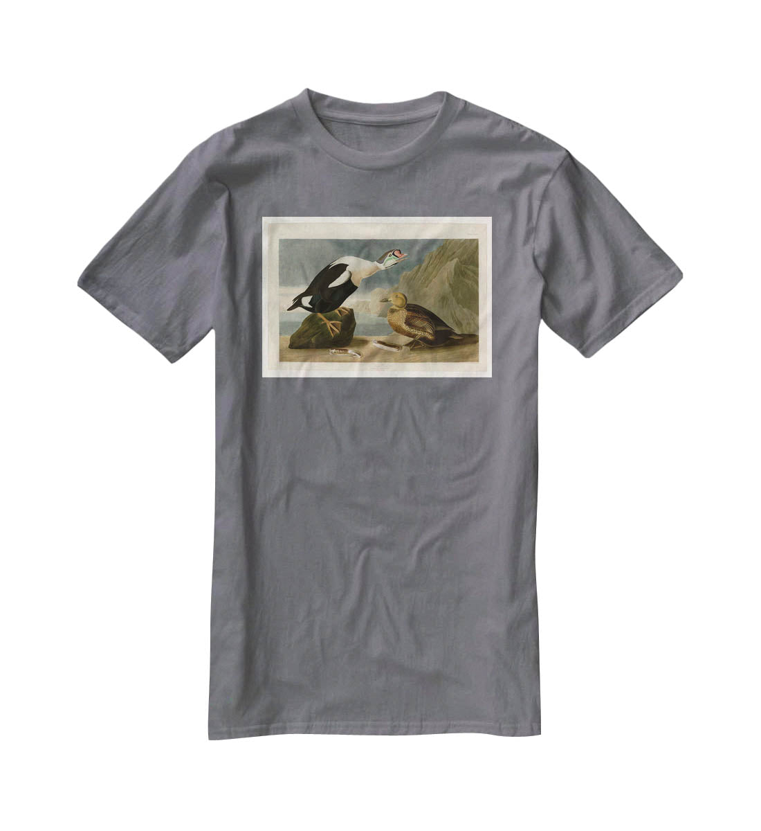 King Duck by Audubon T-Shirt - Canvas Art Rocks - 3