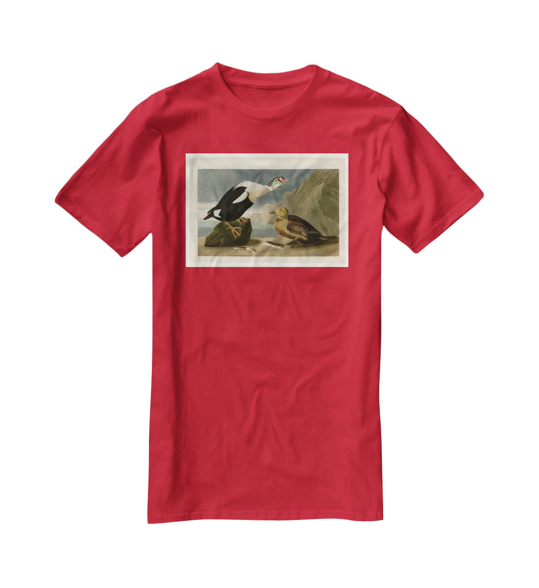 King Duck by Audubon T-Shirt - Canvas Art Rocks - 4