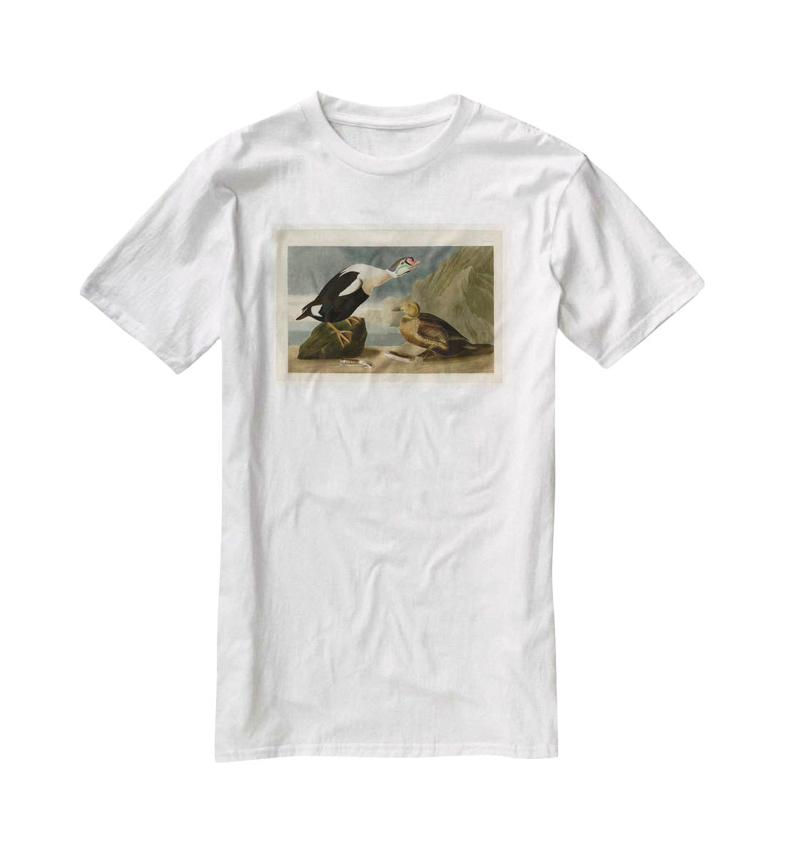 King Duck by Audubon T-Shirt - Canvas Art Rocks - 5