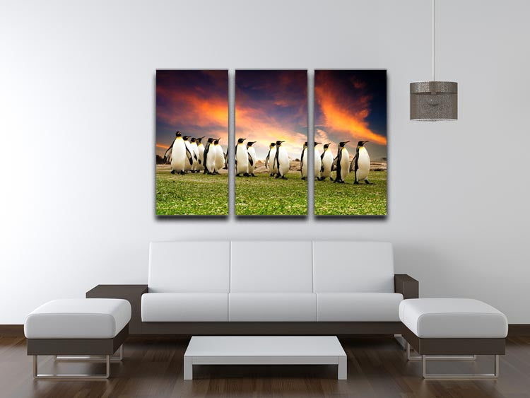 King Penguins in the Falkland Islands 3 Split Panel Canvas Print - Canvas Art Rocks - 3