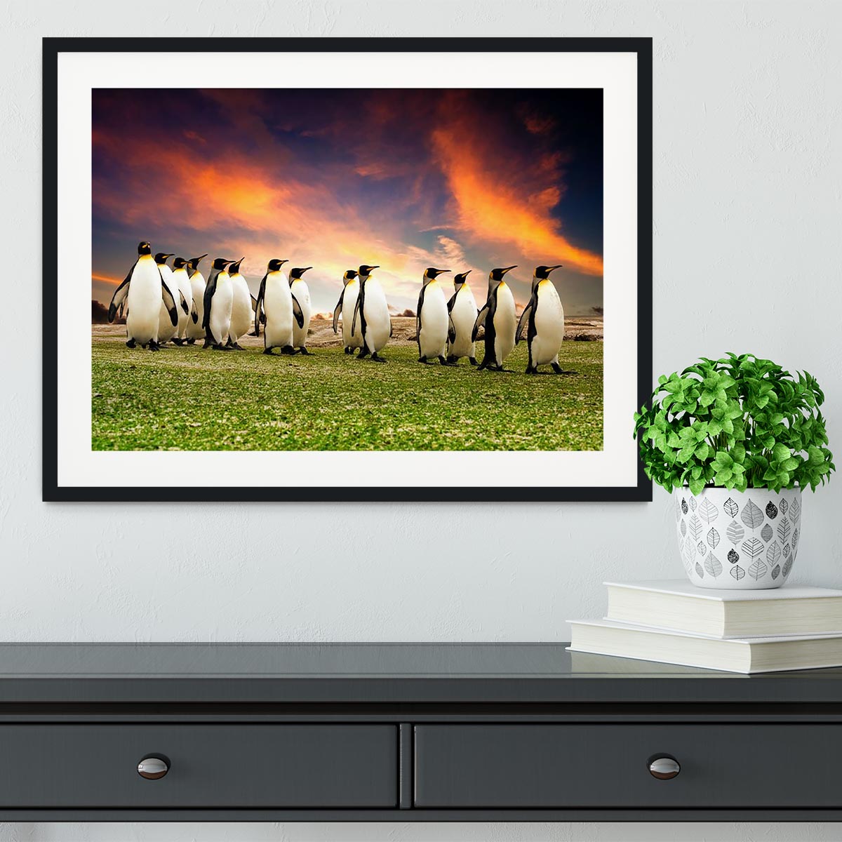 King Penguins in the Falkland Islands Framed Print - Canvas Art Rocks - 1