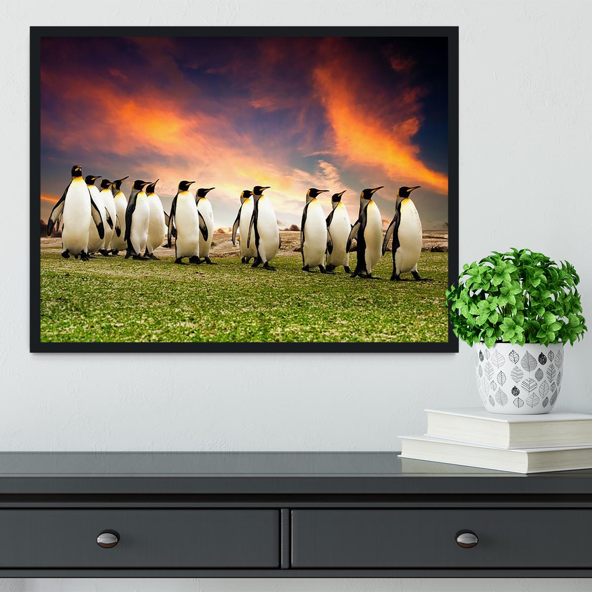 King Penguins in the Falkland Islands Framed Print - Canvas Art Rocks - 2