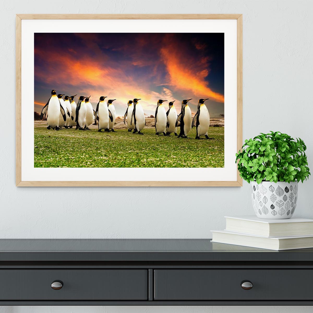 King Penguins in the Falkland Islands Framed Print - Canvas Art Rocks - 3