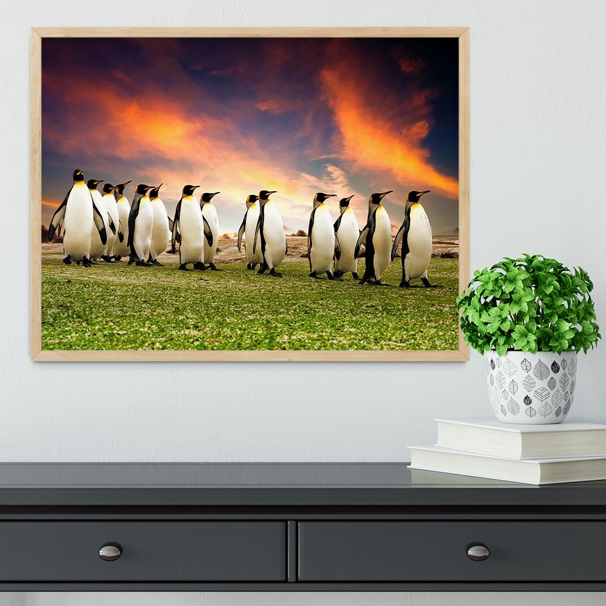King Penguins in the Falkland Islands Framed Print - Canvas Art Rocks - 4