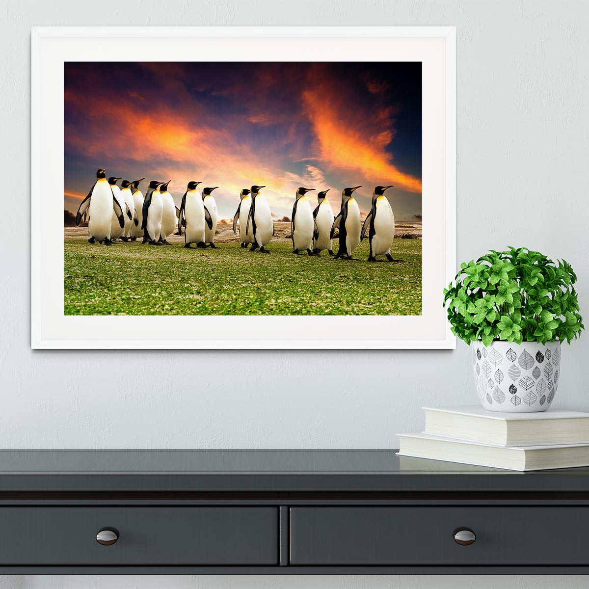 King Penguins in the Falkland Islands Framed Print - Canvas Art Rocks - 5