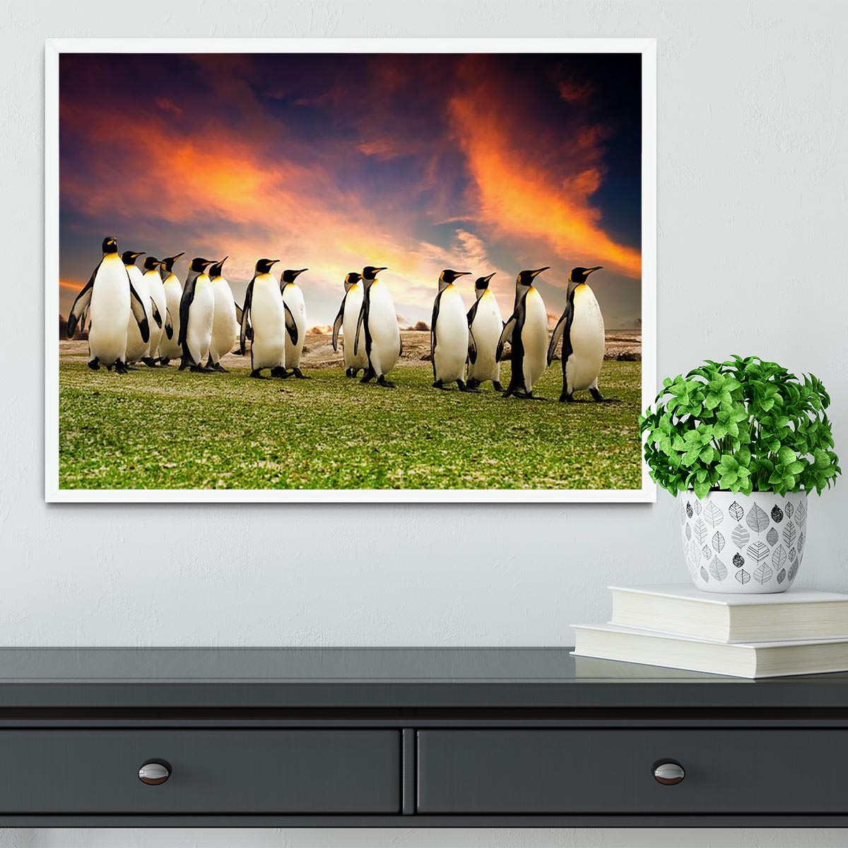 King Penguins in the Falkland Islands Framed Print - Canvas Art Rocks -6