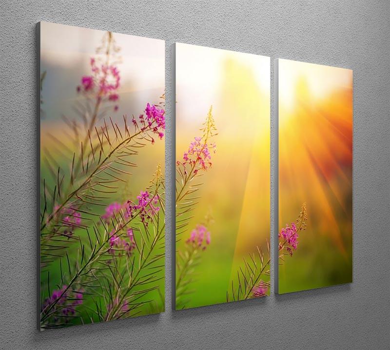 Landscape with Fireweed at sunny summer 3 Split Panel Canvas Print - Canvas Art Rocks - 2
