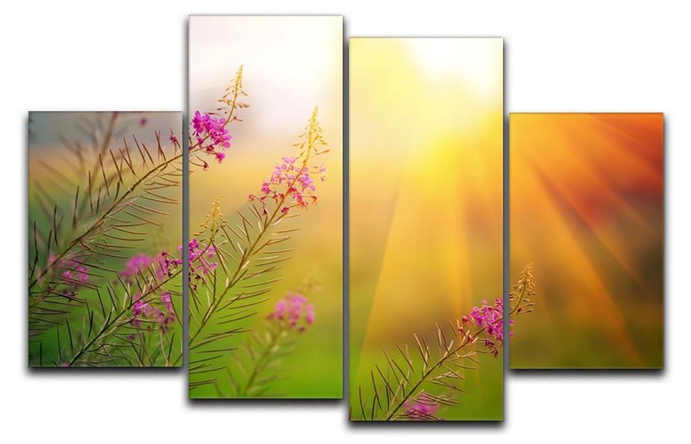 Landscape with Fireweed at sunny summer 4 Split Panel Canvas  - Canvas Art Rocks - 1