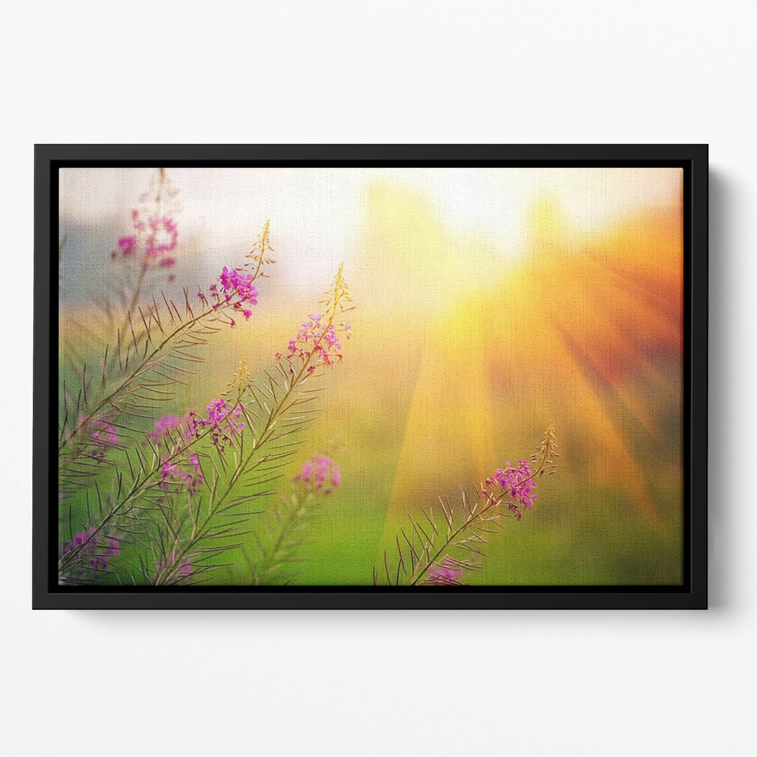 Landscape with Fireweed at sunny summer Floating Framed Canvas