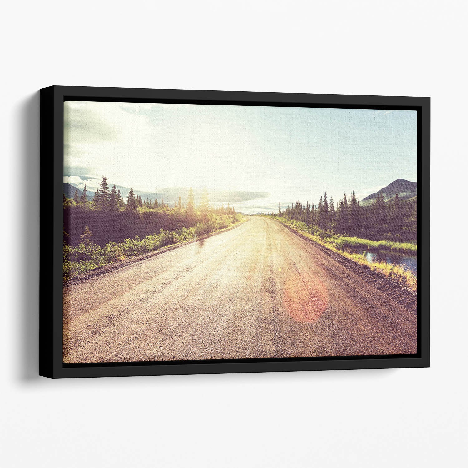 Landscapes on Denali highway Floating Framed Canvas